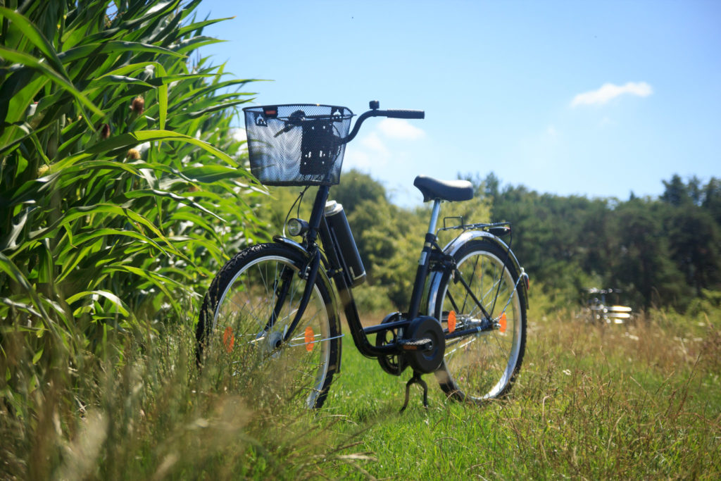 EMobilität TransportradManufaktur Baier